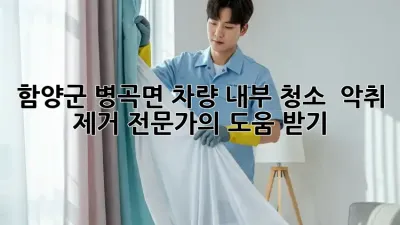 함양군 병곡면 차량 내부 청소 : 악취 제거 전문가의 도움 받기