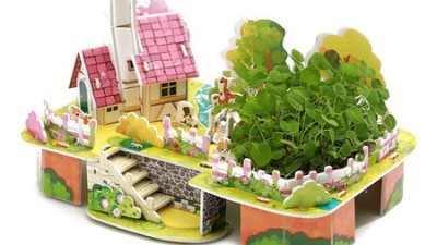 🌿 나만의 작은 정원, 미니식물 DIY 키트 특가 할인!